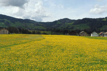 Ausblick in Richtung Westen